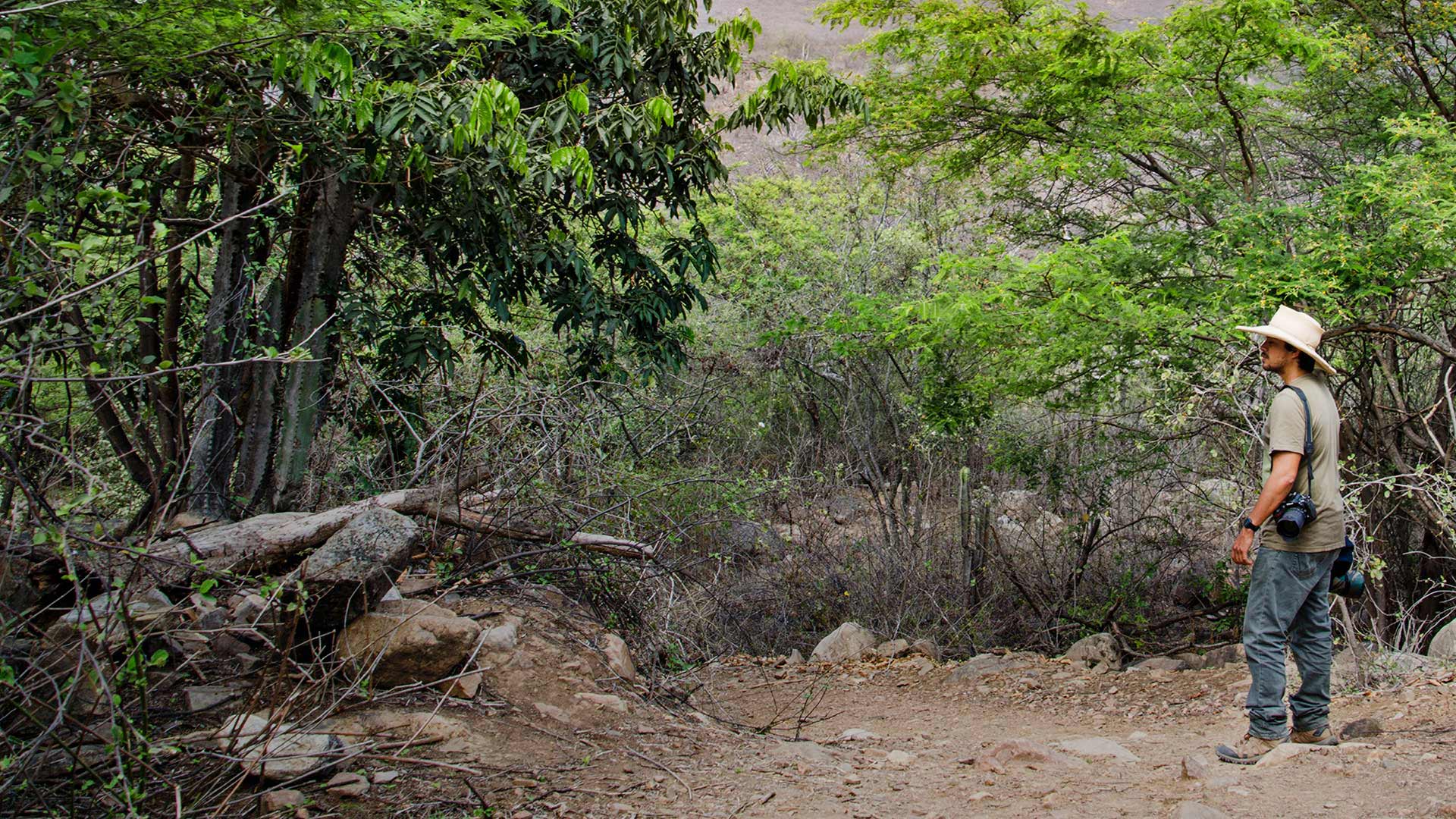 Observation of flora and fauna in Chaparrí National Reserve